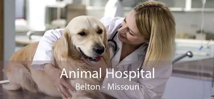 Animal Hospital Belton - Missouri