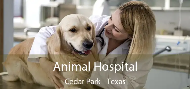 Animal Hospital Cedar Park - Texas