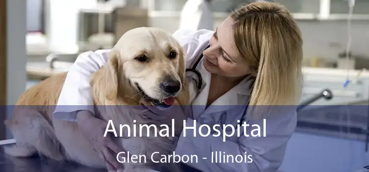 Animal Hospital Glen Carbon - Illinois