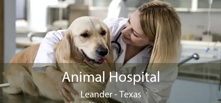 Animal Hospital Leander - Texas