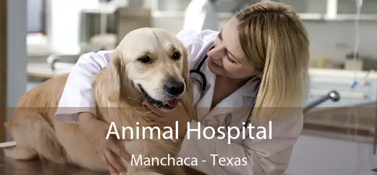 Animal Hospital Manchaca - Texas