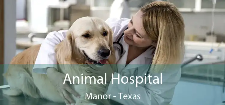 Animal Hospital Manor - Texas