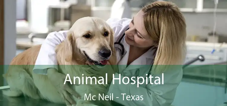 Animal Hospital Mc Neil - Texas