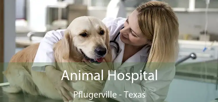 Animal Hospital Pflugerville - Texas