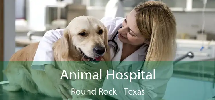 Animal Hospital Round Rock - Texas