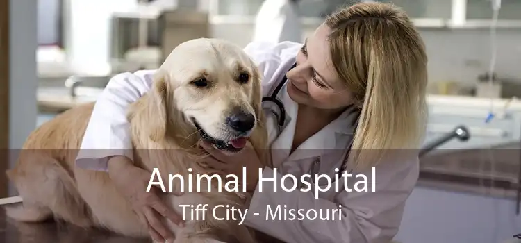 Animal Hospital Tiff City - Missouri