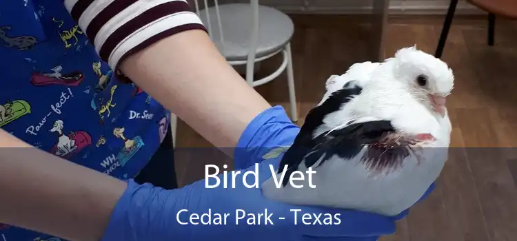 Bird Vet Cedar Park - Texas