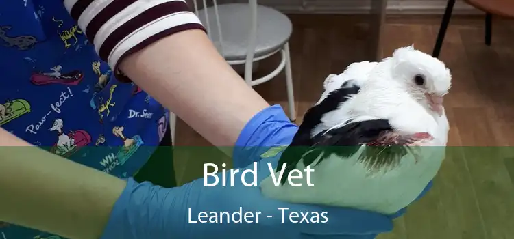 Bird Vet Leander - Texas