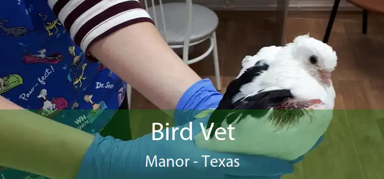 Bird Vet Manor - Texas