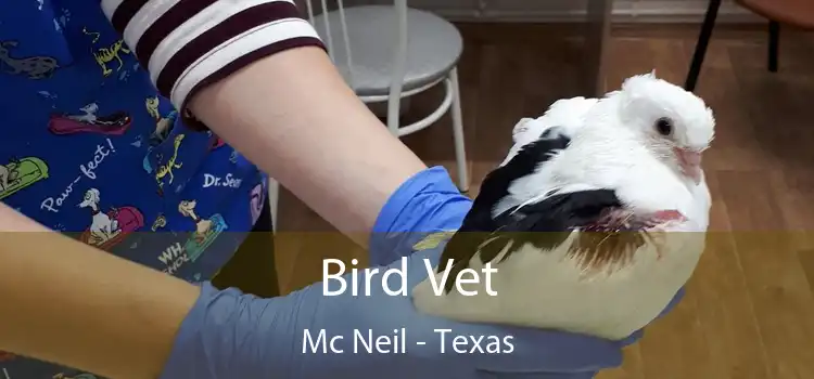 Bird Vet Mc Neil - Texas