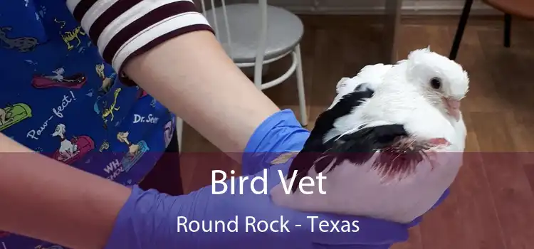 Bird Vet Round Rock - Texas