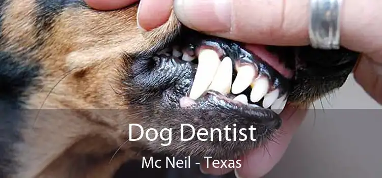 Dog Dentist Mc Neil - Texas