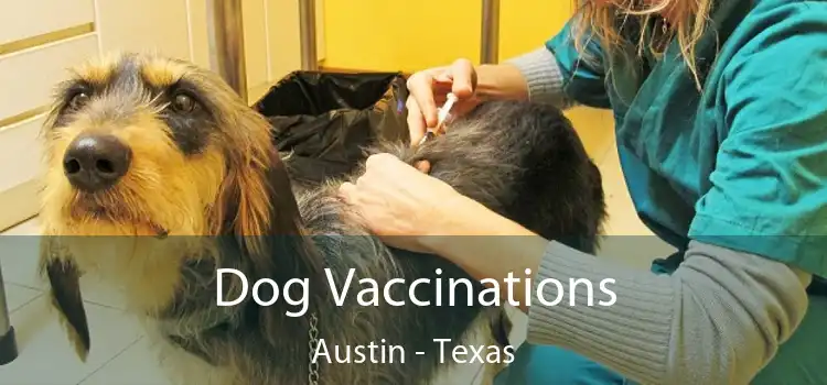 Dog Vaccinations Austin - Texas