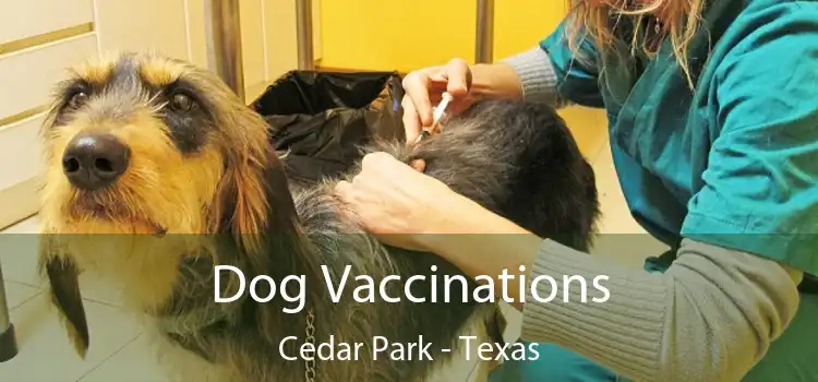 Dog Vaccinations Cedar Park - Texas