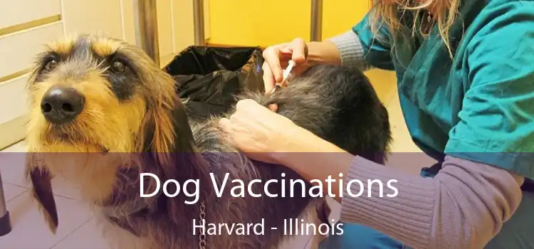 Dog Vaccinations Harvard - Illinois