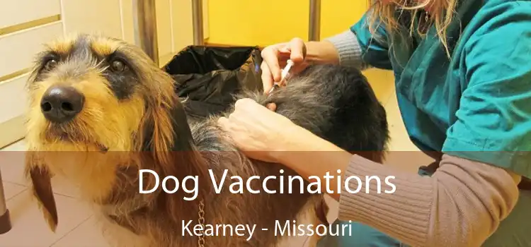 Dog Vaccinations Kearney - Missouri