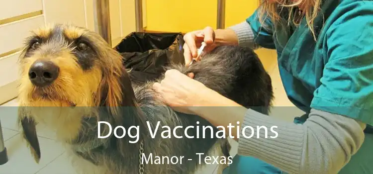 Dog Vaccinations Manor - Texas