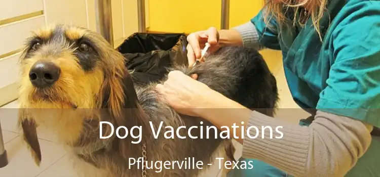 Dog Vaccinations Pflugerville - Texas