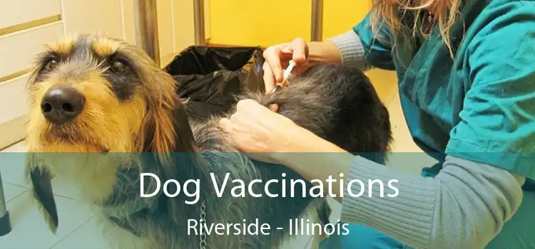 Dog Vaccinations Riverside - Illinois