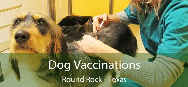 Dog Vaccinations Round Rock - Texas