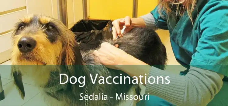 Dog Vaccinations Sedalia - Missouri