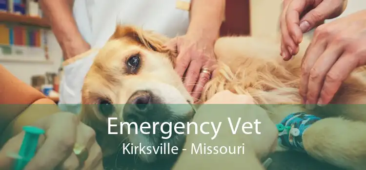 Emergency Vet Kirksville - Missouri