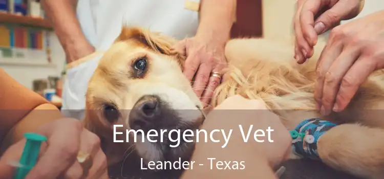 Emergency Vet Leander - Texas