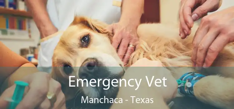 Emergency Vet Manchaca - Texas