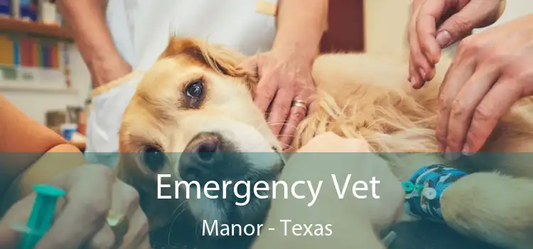 Emergency Vet Manor - Texas