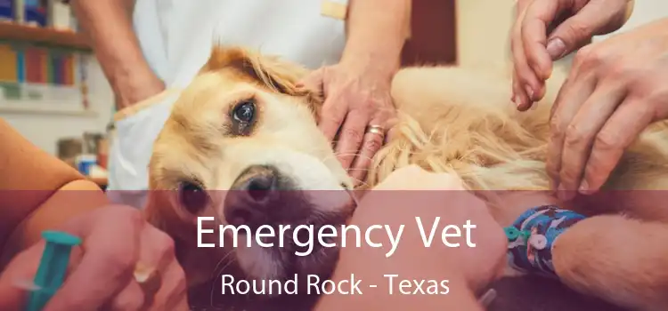 Emergency Vet Round Rock - Texas