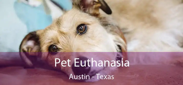 Pet Euthanasia Austin - Texas