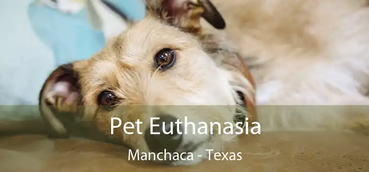 Pet Euthanasia Manchaca - Texas