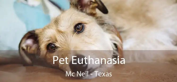 Pet Euthanasia Mc Neil - Texas