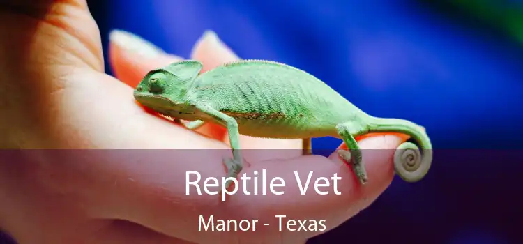 Reptile Vet Manor - Texas