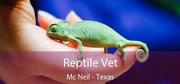 Reptile Vet Mc Neil - Texas