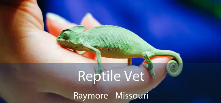 Reptile Vet Raymore - Missouri