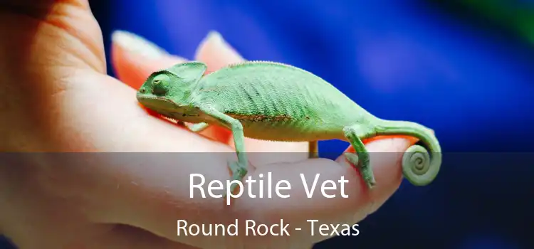 Reptile Vet Round Rock - Texas