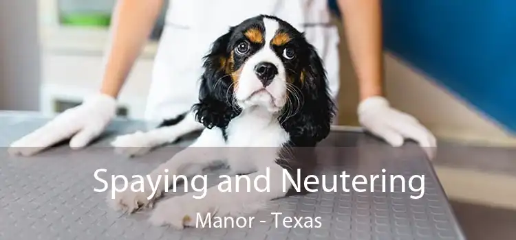 Spaying and Neutering Manor - Texas