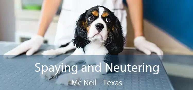 Spaying and Neutering Mc Neil - Texas