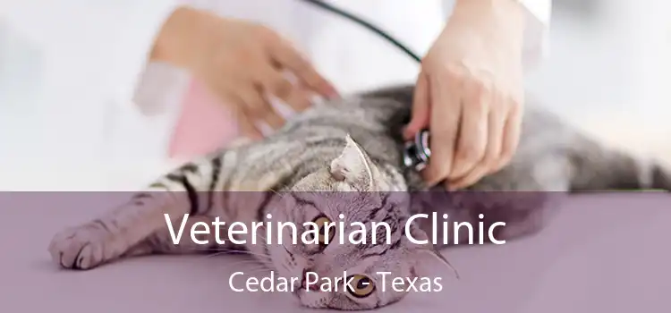 Veterinarian Clinic Cedar Park - Texas