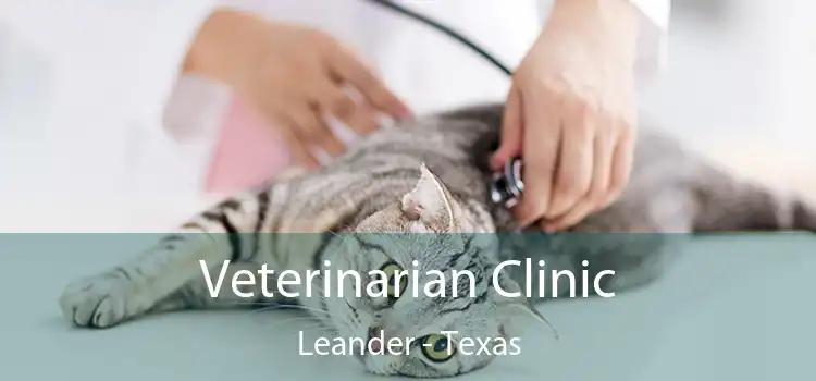 Veterinarian Clinic Leander - Texas