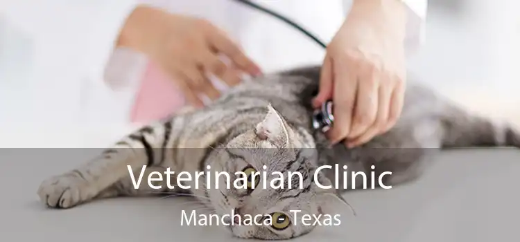 Veterinarian Clinic Manchaca - Texas