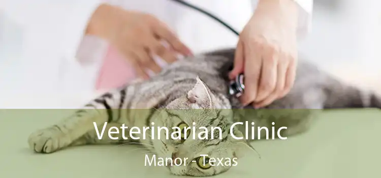 Veterinarian Clinic Manor - Texas