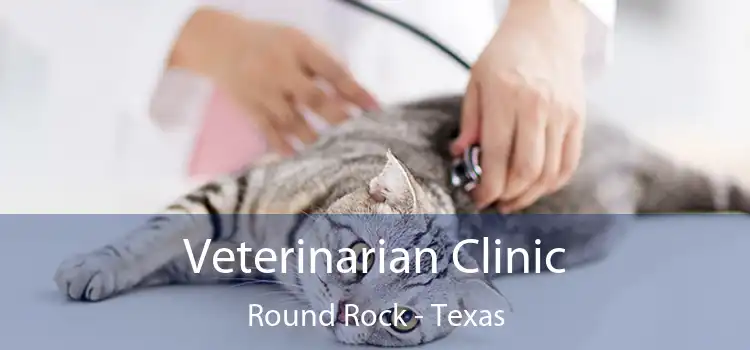 Veterinarian Clinic Round Rock - Texas